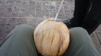 und überall erfrischende Kokosnuss